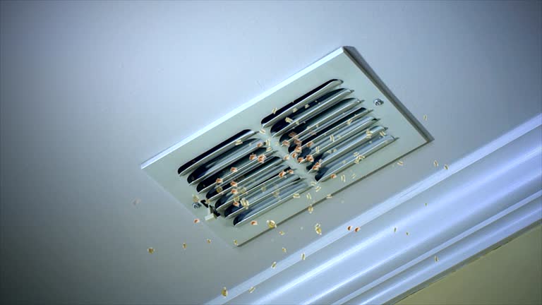 Best Duct Cleaning Specialists  in La Habra, CA
