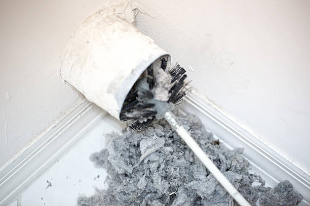 Best Affordable Duct Cleaning Services  in La Habra, CA